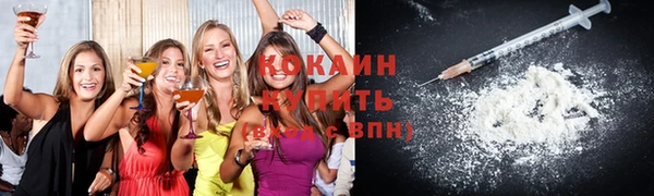 твердый Алексин