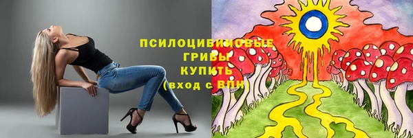 ешки Алзамай